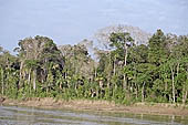 Canoe journey down the rivers of the Madre de Dios department in the Manu reserve